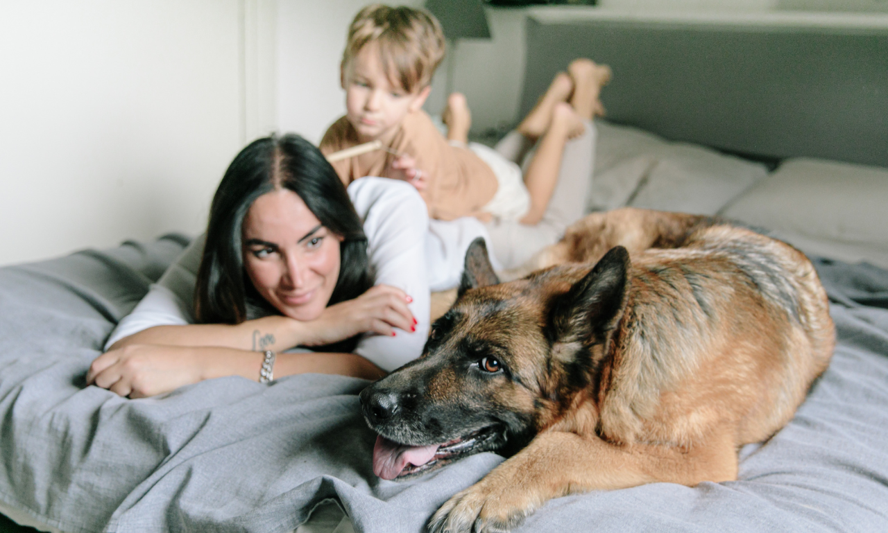 Person cleaning up pet fur